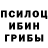 Псилоцибиновые грибы GOLDEN TEACHER Tolik Salaev