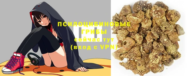 PSILOCYBIN Наволоки