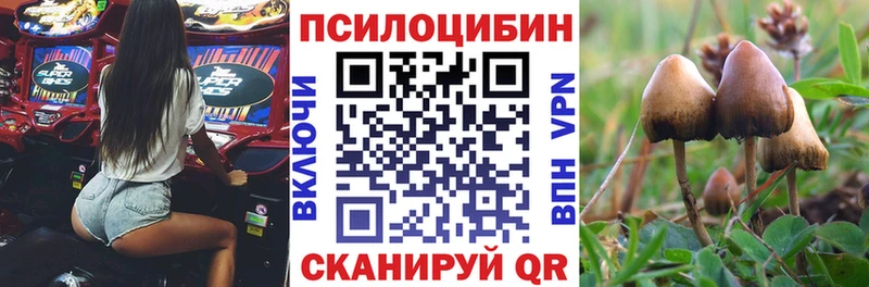 даркнет сайт Туран Псилоцибиновые грибы MAGIC MUSHROOMS